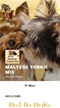 Mobile Screenshot of malteseyorkiemix.com